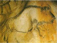 Grotte Chauvet